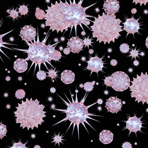 Medical Microbiology Images Stampe: Viruses