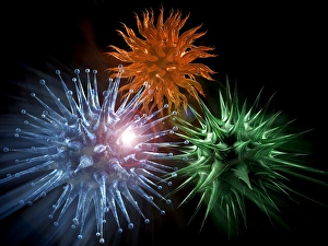 RNA Viruses Stampe: Viruses, computer artwork