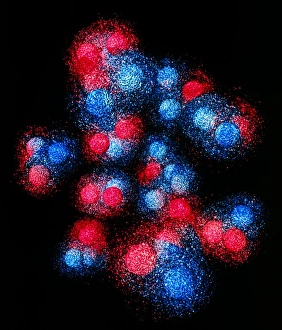 Stampe di La struttura del quark del nucleo di carbonio. Visualizzazione computerizzata del nucleo di un atomo di carbonio. L'isotopo più comune, il carbonio-12, è costituito da sei protoni e sei neutroni Immagini datate 1995: La visualizzazione della struttura dei quark del carbonio.