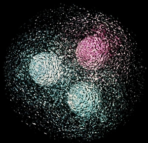 Stampe di La struttura del quark nel neutrone. Visualizzazione computerizzata della struttura del neutrone, uno dei blocchi costitutivi delle nuclei atomici Immagini datate 2004 febbraio: La visualizzazione della struttura del quark del neutrone.