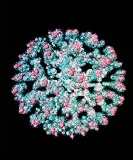 Stampe di La struttura del quark del nucleo di uranio. Visualizzazione computerizzata del nucleo di un atomo d'uranio. L'isotopo più comune, l'uranio-238, è composto da 92 protoni e 146 neutroni Immagini datate 1995 febbraio: Visualizzazione della struttura dei quark dell'uranio.