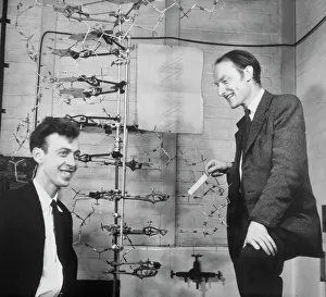 IL DNA Stampe: Watson e Crick con il loro modello di DNA