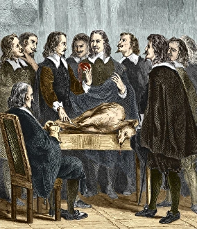 Immagini datate 2009 gennaio: Glielo spiegò William Harvey sulla circolazione del sangue