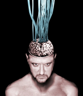 Future Technology Illustration Stampe: Wired brain