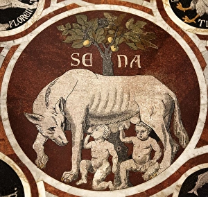 Stampe di Dettaglio del mosaico dell' XIV secolo posizionato nella pavimentazione di marmo della Duomo di Siena, che mostra la lupa che allatta i gemelli Senio e Aschio, figli di Remuto (fratello di Romulo) Immagini del 23 novembre 2012: Lupo di Siena