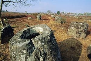 Stampe di La pianura dei vasi antichi di circa duemila anni fa a Xieng Khuan provincia del Lao in Asia Laos Stampe: La piana dei vasi antichi di circa duemila anni fa