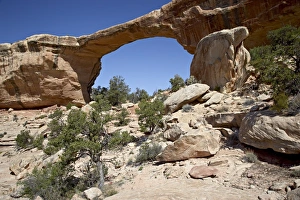 Natural Bridges National Monument Stampe: 27138_work