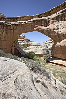 Rugged Rocky Terrain Stampe: 27142_work