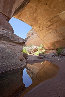 Natural Bridges National Monument Stampe: 27144_work