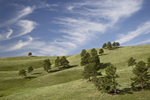 Rolling Hills Scenery Stampe: 27723_work