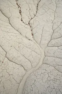 Paesaggio Stampe: Modelli di erosione in una piccola diga del Bistri Wildnerness