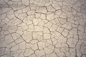 Stampe di Modelli nelle crepe di argilla in zona siccità Astratto: Modelli nelle crepe di fango in zona siccità
