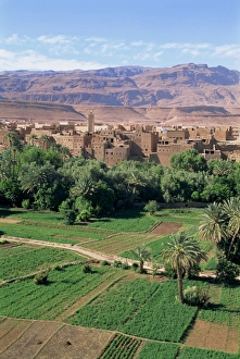 Morocco Travel Destination Stampe: Aerial view over fields