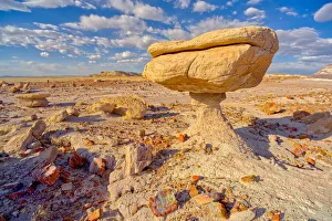 North American Natural Landmarks Stampe: Balanced rock that resembles a toadstool, petrified wood scattered around the formation