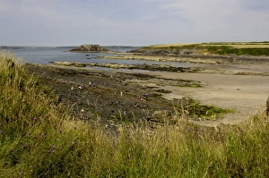Welsh Beaches Stampe: The beach at West Angle
