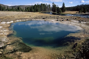 Biscuit Basin Yellowstone Stampe: Black Opal Spring