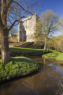 Castello Di Blarney Stampe: Castello di Blarney nel primavera nella contea del Cork nello stato della Munster Repubblica d'Irlanda Europa