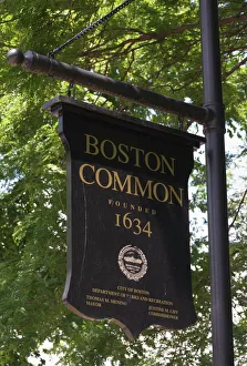 New England Travel Destinations Stampe: Boston Common