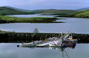 Scenic Scottish Landscapes Stampe: Bridge End