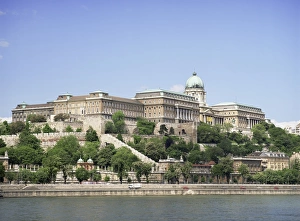 Danube River Cruise Stampe: Buda palace