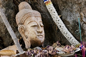 Buddhist Statue In Nature Stampe: Buddhist head placed at tree base, Chiang Mai, Thailand, Southeast Asia, Asia