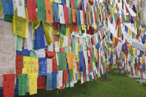 Buddhist Prayer Flags India Stampe: Buddhist prayer flags