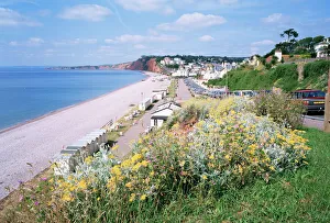 Devon Stampe: Budleigh Salterton, Devon, Inghilterra Regno Unito Europa
