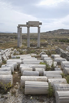 World Heritage Site Greece Stampe: Building of the Poseidoniasts