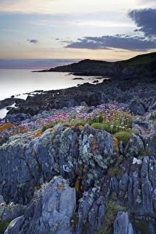 Nature Scenery In Europe Stampe: Bull Point, North Devon, Devon, England, United Kingdom, Europe