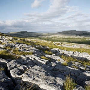 Burren Ireland Stampe: The Burren