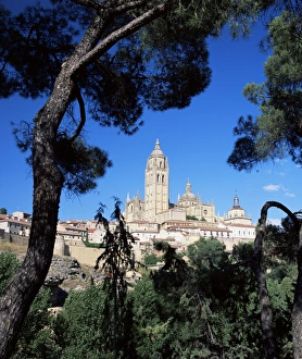 Christian Landmarks Europe Stampe: The cathedral framed by pine trees
