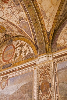 Tuscany European Landmarks Stampe: Ceiling detail
