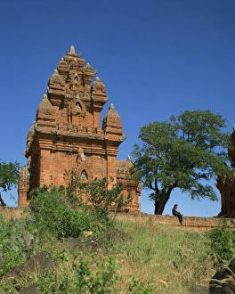 Vietnam Architecture Stampe: Cham tower