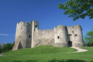 Stampe di Castello di Chepstow, Gwent, Galles del Regno Unito Europa Castello Stampe: Castello di Chepstow