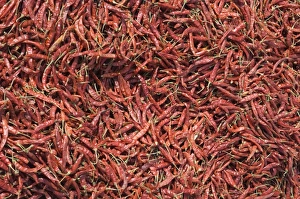 Chilli Peppers Stampe: Chilli peppers