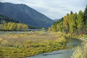 Rocky Mountains Photography Stampe: The Clark Fork River in the fall