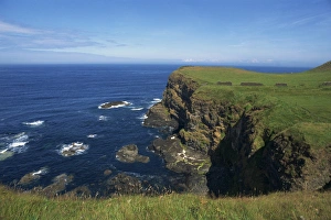 Sea Cliff Scenery Stampe: Cliffs over coatline