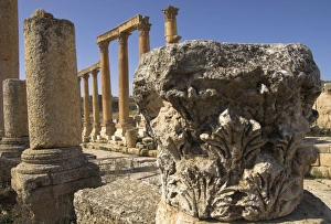 Jerash Archaeological Site Stampe: Close up of column capital