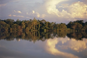 Cloudy Countryside View Stampe: Clouds reflected in the Sepik River