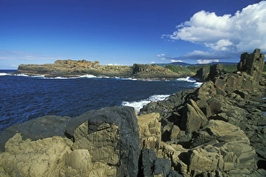 Coastal Basalt Columns Stampe: Columnar structures, created during cooling of basalt lava