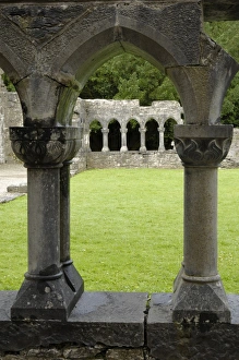 Contemporary Irish Architecture Stampe: Cong Abbey