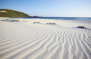 Blue Sky Ocean Views Stampe: Conspicuous Cliffs beach, Walpole, Western Australia, Australia, Pacific