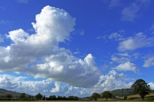 UK Countryside Scenes Stampe: Cornfields, Exe Valley, Devon, England, United Kingdom, Europe