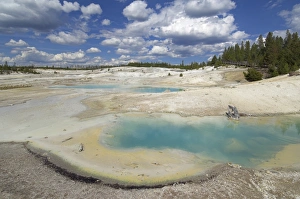 Norris Geyser Basin Stampe: D2x070604249