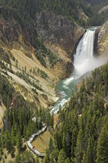 Yellowstone River Waterfall Stampe: D2x070607033