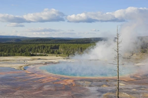 Midway Geyser Basin Stampe: D2x070607113