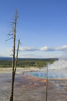 Midway Geyser Basin Stampe: D2x070607119