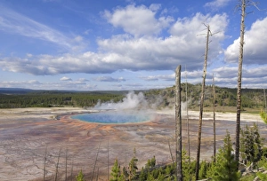 Midway Geyser Basin Stampe: D2x070607188