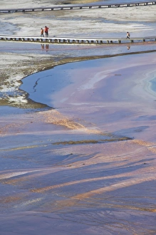 Midway Geyser Basin Stampe: D2x070607227