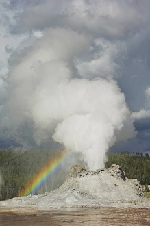 Yellowstone National Park Photography Stampe: D2x070608148